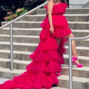 Reddish Pink Western Gown