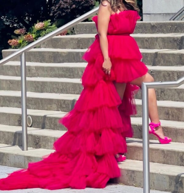 Reddish Pink Western Gown